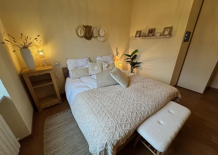 Wisteria Lantställe *